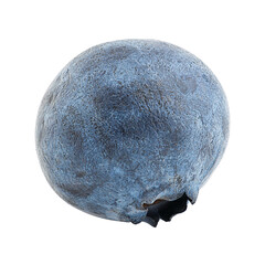 blueberry, isolated on white background, full depth of field