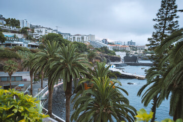 Fototapeta na wymiar Funchal city view