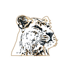 Simba color sketch with transparent background