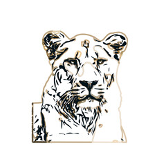 Simba color sketch with transparent background