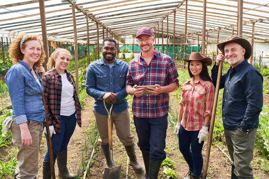 Group of farmers in greenhouse as farming collective