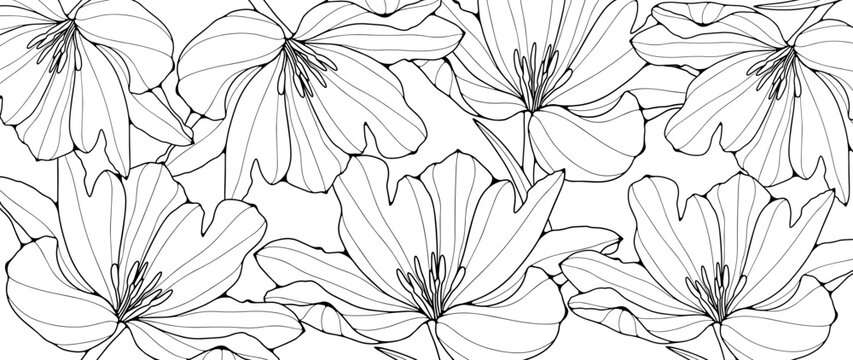 Black and white flower picture for coloring. Floral background for coloring books, wallpapers, decor.