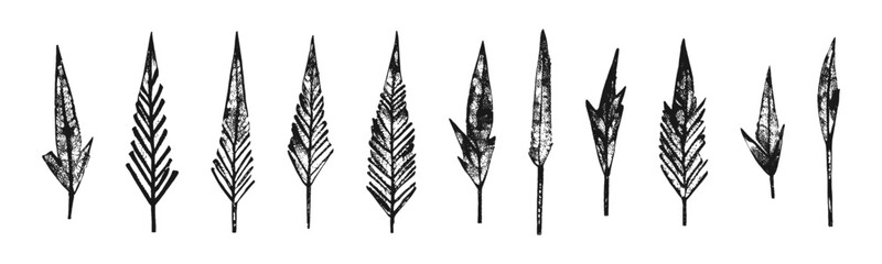 Set of hand drawn leaves or feathers. Collection of grunge design vector elements.