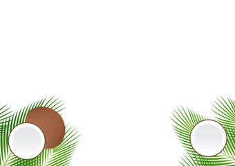 Coconut with Leaves or Green Palm Leaves Background. Summer Background Frame. Vector Illustration Isolated on White Background. 