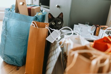 Closeup shot of a black cat near the shopping bags