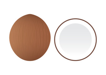 Coconut. Vector Illustration Isolated on White Background. 