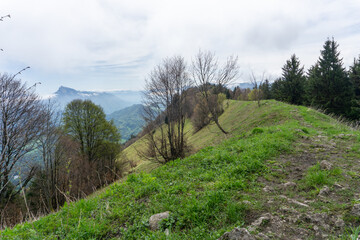 view of an idyllic landscape in the mountains, Salzburg, Austria, on a day in spring