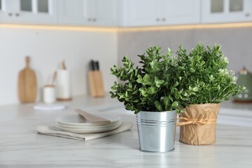 Aromatic potted herbs on white marble table in kitchen, space for text