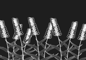 Vector illustration of plants doodles against a dark background