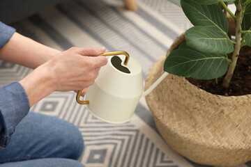 Woman watering beautiful potted houseplant, closeup view