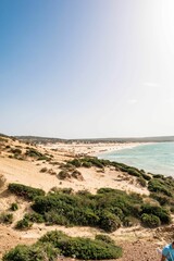 Fototapeta na wymiar Vertical shot of a sunny rocky seashore on a summer day in Kef Abbed, Tunisia