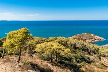 Fototapeta na wymiar Mountaintop with green trees on the coast of Korbous, Tunisia
