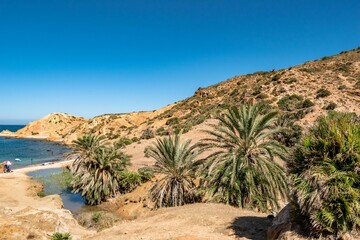 Fototapeta na wymiar Sandy mountains with tropical vegetation on the coast of Korbous, Tunisia