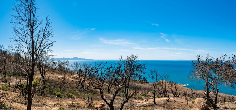 Arid mountaintop with trees on the coast of Korbous, Tunisia