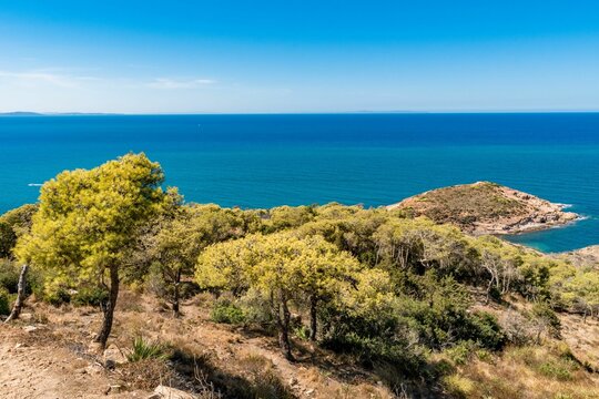 Mountaintop with green trees on the coast of Korbous, Tunisia