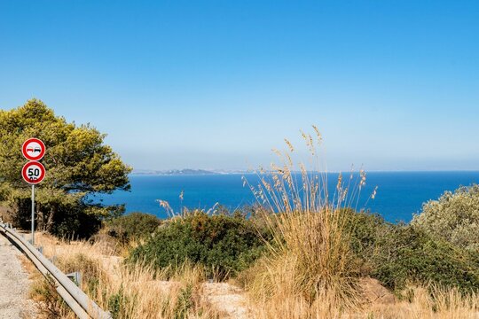 Vegetation and grass growing on a roadside with a sea and blue sky in the background