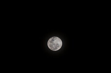 Fototapeta premium Beautiful view of the full moon shining in the dark, cloudless sky