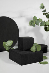 Black geometric figures and eucalyptus leaves on white marble table. Stylish presentation for product