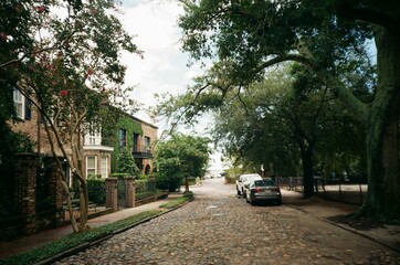 Cobblestone street in charlestone, south carolina
