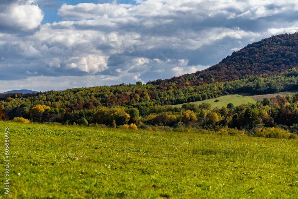 Poster Scenic shot of a green field on the foot of a hill covered with lush forests under the cloudy sky