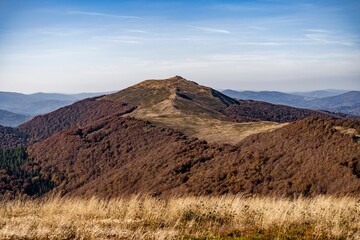 Beautiful landscape of the big mountains covered in forest with the blue sky in the background