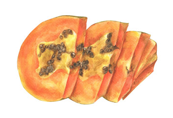 Sliced of ripe papaya with seeds. Hand painted watercolor illustration.