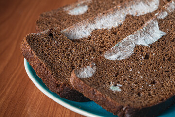 Dry musty bread. Spoiled, non-consumable food. Slices of black bread, covered with mold. Mold on bread
