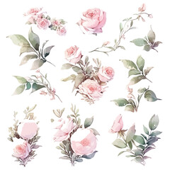 set of pink rose floral watercolor, pink flower, rose flower. Floral poster, invitation floral. Vector arrangements for greeting card or invitation design