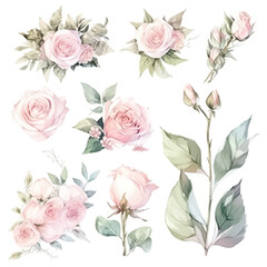 set of pink rose floral watercolor, pink flower, rose flower. Floral poster, invitation floral. Vector arrangements for greeting card or invitation design
