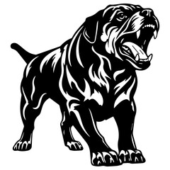 Angry Rottweiler , isolated on white