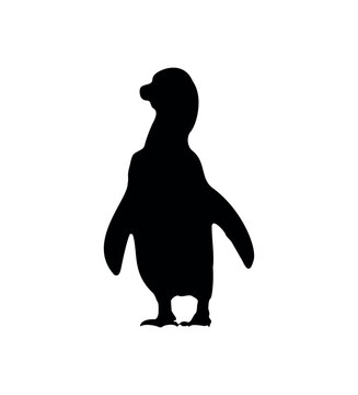 Vector flat penguin silhouette isolated on white background