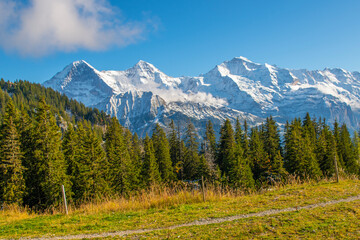 Beautiful Lake Thun view from Schynige Platte trail in Bernese Oberland, Canton of Bern, Switzerland. Popular mountain in the Swiss Alps called Schynige Platte in Switzerland, aerial view.
