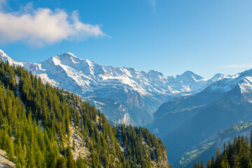 Beautiful Lake Thun view from Schynige Platte trail in Bernese Oberland, Canton of Bern,...