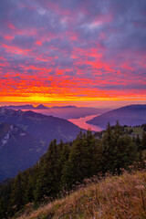 Obraz premium Beautiful Lake Thun view from Schynige Platte trail in Bernese Oberland, Canton of Bern, Switzerland. Popular mountain in the Swiss Alps called Schynige Platte in Switzerland, aerial view.