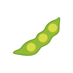 soybean flat design vector illustration. opened shell pea vector illustration. vegetarian and vegan icon