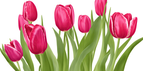 Flower arrangement with beautiful tulips on a white background. Generative AI