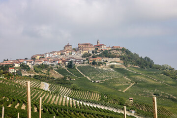 Fototapeta na wymiar Langhe vineyards near La Morra, Unesco Site, Piedmont, Italy