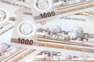 UAE dirhams, new banknotes of one thousand, paper money closeup
