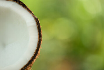 Coconut haft fruit on nature background.
