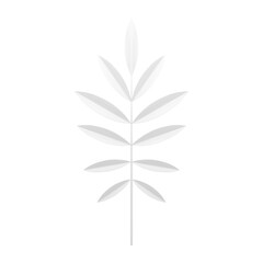 Fototapeta na wymiar White tree branch elegant tropical fern botanical blossom design element 3d icon realistic vector