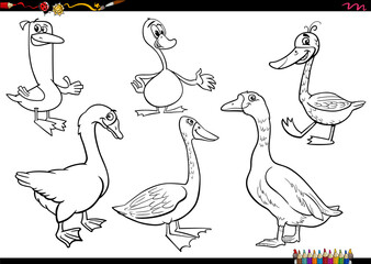 cartoon geese farm animal characters set coloring page