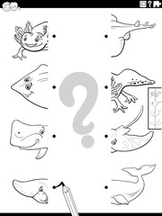 match halves of marine animals pictures activity coloring page