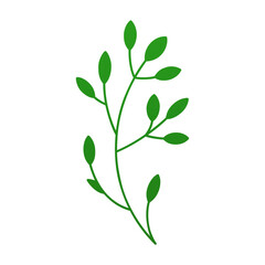 Green eco tree branch with leaves lush botanical eco organic decorative design 3d icon vector