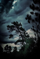 Fototapeta premium Stormy skies above the treetops. AI Generated
