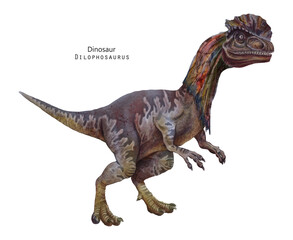 Dilophosaurus illustration. Dinosaur with crest on head. Brown, violet dino - 605680512