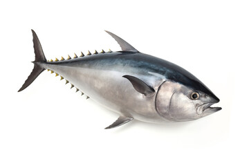 image of northern bluefin tuna on white background. Underwater Animals. Foods. illustration, generative AI.