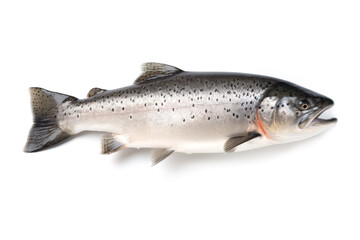 Naklejka premium image of salmon fish on white background. Underwater Animals. Foods. illustration, generative AI.