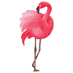 Obraz premium Pink flamingo Tropical Clip art Element Transparent Background