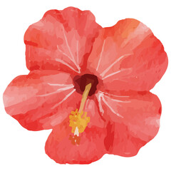 Tropical Flower Clip art Element Transparent Background