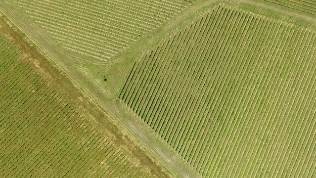 fields in Australia drone video